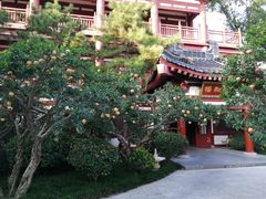 -西安华清御汤酒店