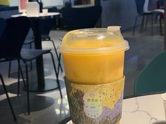 -野萃山·潮汕厚果汁(十亩地店)