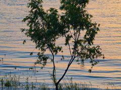 -花·fleur古董西餐厅(西城夜未央店)