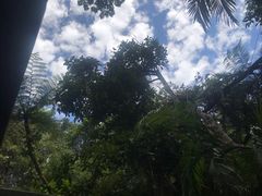 -热带雨林自然公园