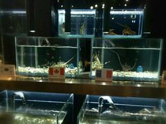 -璞御·海鲜·雪花牛肉局(宾水西道店)