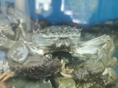 -蟹状元大闸蟹·年货·粽子(成都成华店)