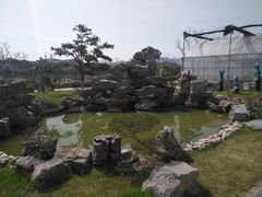 -呼吸森林·生态农庄农家乐私房菜