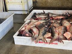 -岳各庄批发市场(西四环中路店)