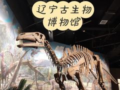 -辽宁古生物博物馆