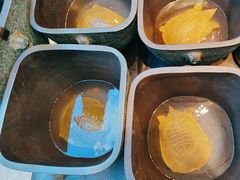 -烹湘·鲜炒湖南土菜(海珠店)