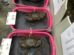 -龙海鲜螃蟹王(宏茂桥店)