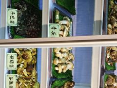 -七采菌园·野生菌石锅鱼(环城北路店)