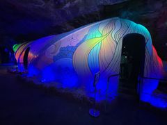 -贝壳梦幻世界