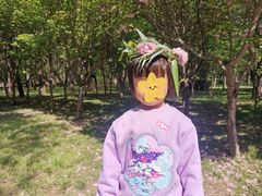 -北京第二实验小学(兰州分校)