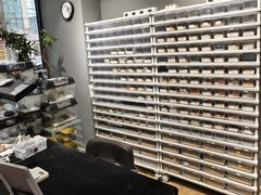 -酷以爬仙阁实体爬宠店·守宫·蜥蜴·专业繁育