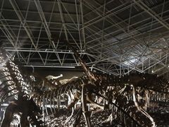 -世界恐龙谷景区