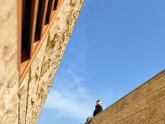 -盘龙城国家考古遗址公园