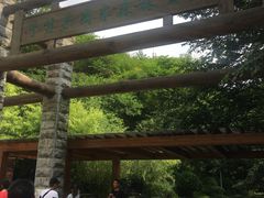 -牛背梁国家森林公园