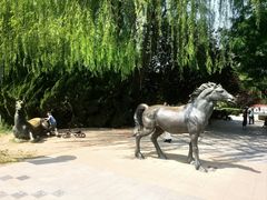 -元大都城垣遗址公园