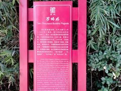 -焦山景区-万佛塔