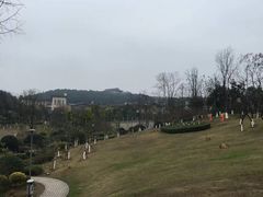 -铁山坪森林公园