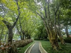 -科兴科学园