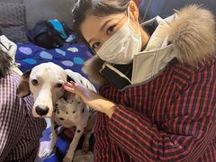 -萌喵宠狗爱心宠咖