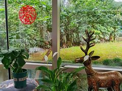 -双季花艺园艺市场(浦东店)