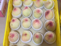 -老袁家蜜桃农场·阳山水蜜桃