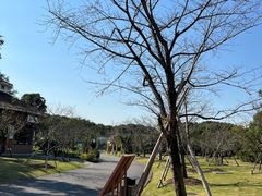 -自然谷恐龙园