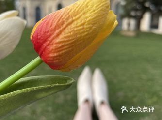 历史的尘埃，艺术的殿堂