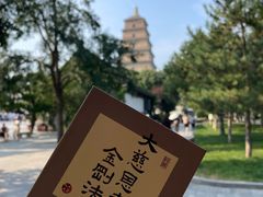 -大慈恩寺(大雁塔)