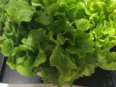 -掂档潮汕牛肉火锅(沈阳万象城店)