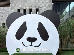 -都江堰中华大熊猫苑