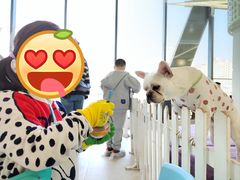 -怪兽屋·羊驼·猫咖·狗咖(俊华广场店)