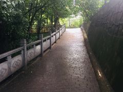 -紫金山天文台