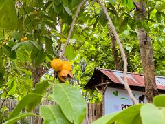 -大象粑粑造纸公园