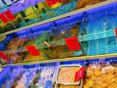 -金海湾海鲜排档(朱家尖店)
