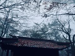 -峨眉山风景名胜区