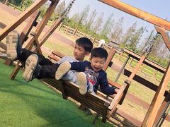 -田园东方蜜桃村的田野营地