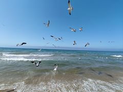 -那香海钻石沙滩浴场