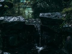 -虎跑公园