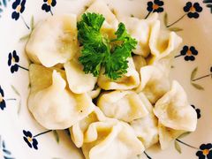 三文鱼饺子-Lozhki-ploshki