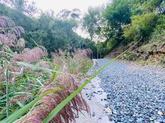 -灵溪风景区