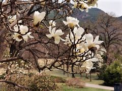 -国家植物园南园