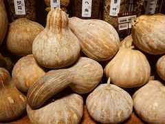 -许爷家·生态湖鲜(徐汇日月光店)