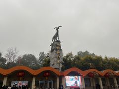 -成都动物园