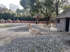 -昆山城市生态森林公园