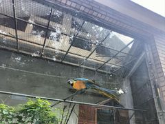 -昆明动物园