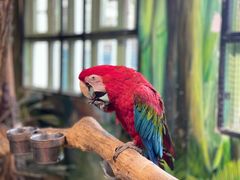 -海合安武汉极地海洋公园