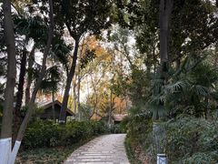 -青枫公园