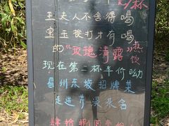 -红楼梦邮局