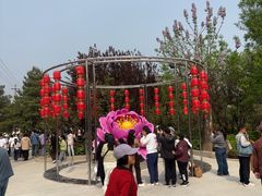 -太阳宫公园