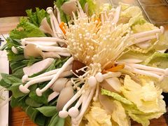-大理老字号·舟渔的鱼野生菌海景餐厅(双廊店)